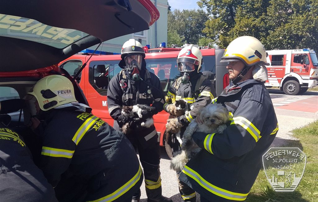 2017 08 08 Wohnungsbrand Harland 1